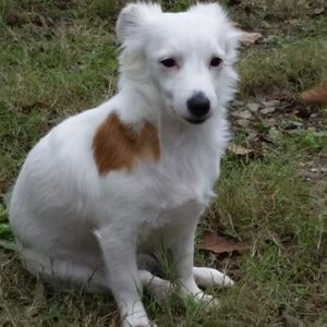 Meet your Posher, Debi